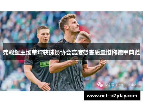 弗赖堡主场草坪获球员协会高度赞誉质量堪称德甲典范